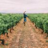 Exploring The Vineyards In La Rioja, Spain
