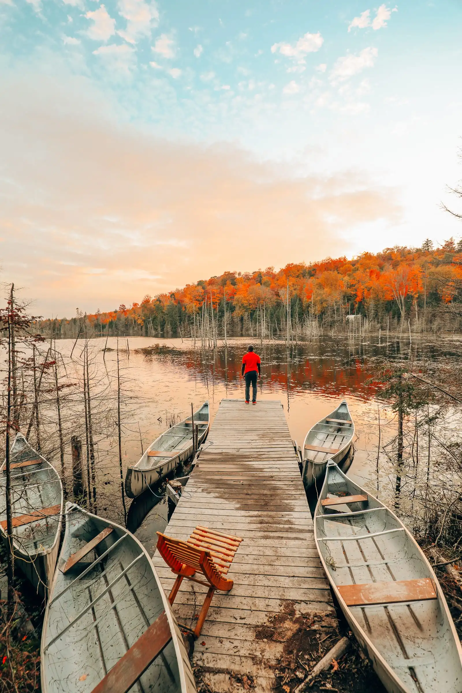 6 Delicious Foods To Eat In Quebec, Canada