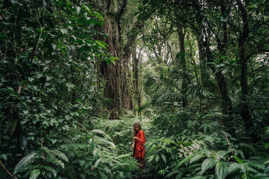 A woman in red walks through a lush tropical jungle, surrounded by green vegetation.