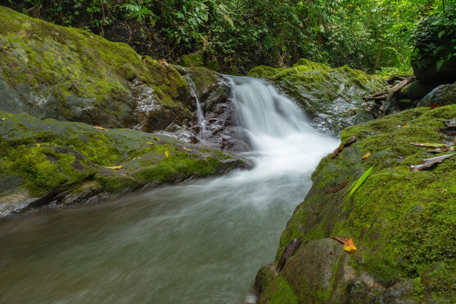 Lush moss-covered rocks and a tranquil waterfall in a Costa Rican rainforest.