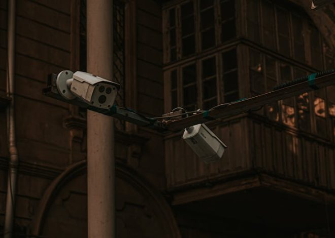 Reolink RLK12-8 vs Argus 4 Pro: Which Security Camera System is Best for You?