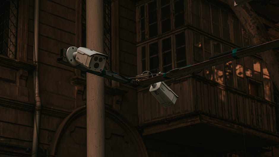 Reolink RLK12-8 vs Argus 4 Pro: Which Security Camera System is Best for You?