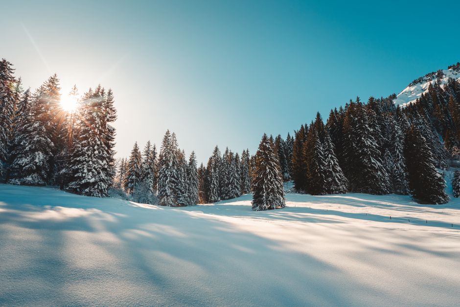A serene winter scene of a snow-covered forest in the Swiss Alps with sunlight filtering through the trees.