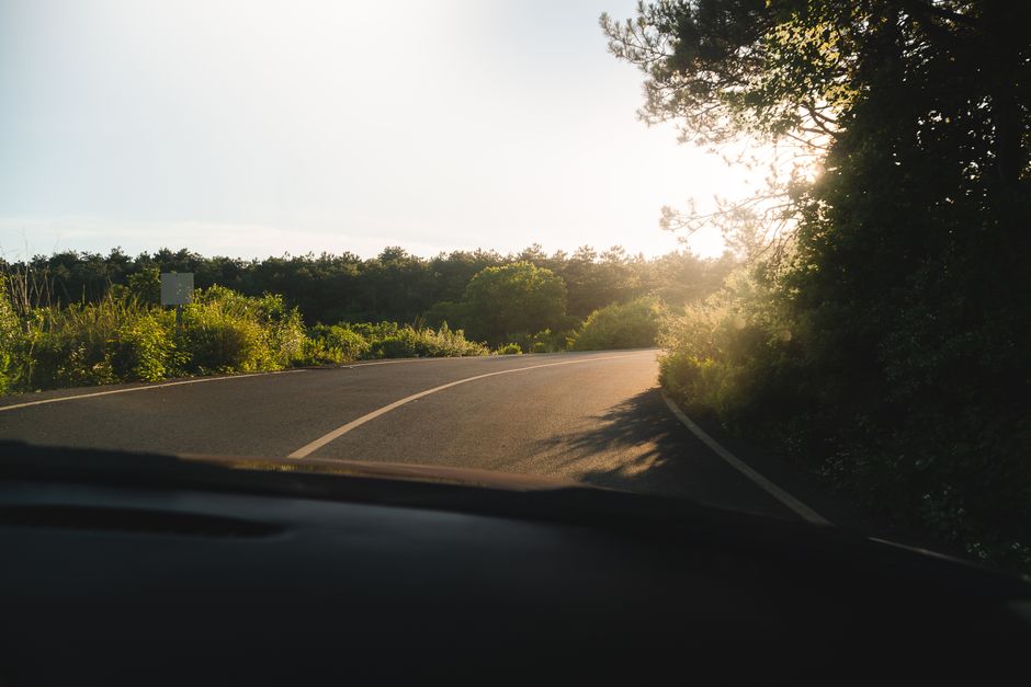 A winding road curves through a vibrant forest during a tranquil sunset, creating a serene and picturesque view.