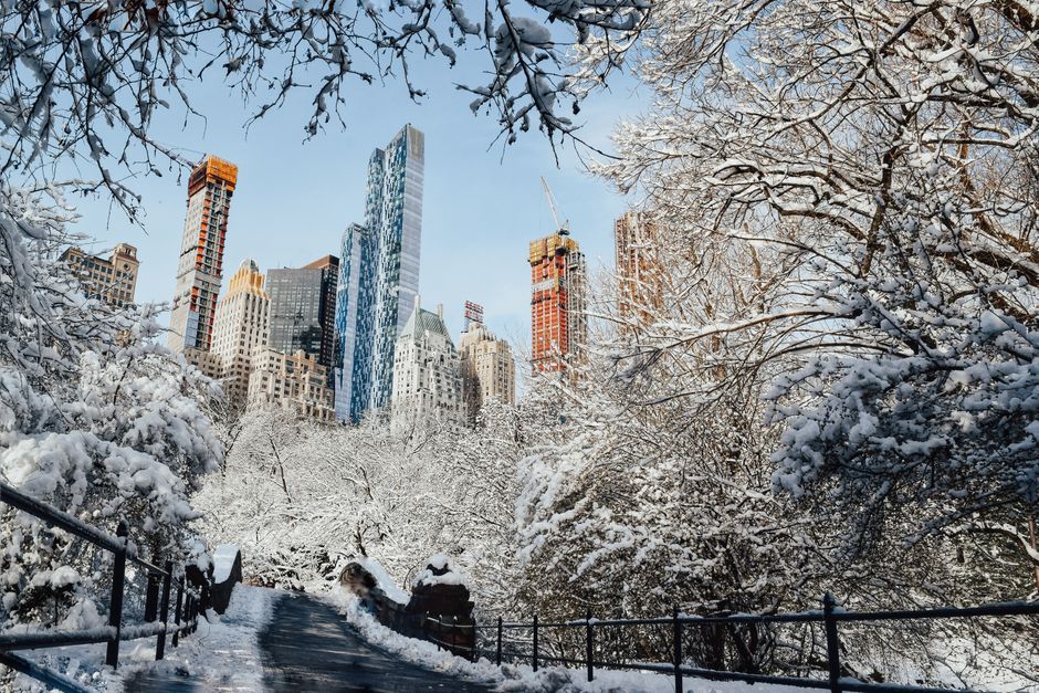 Tall majestic skyscrapers near bridge surrounded by leafless trees covered with snow again