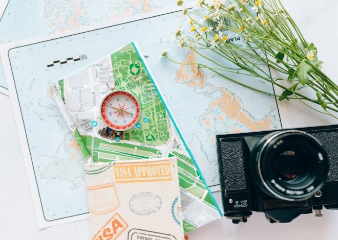 Travel Tips With Kids: How to Travel With Kids Without the Chaos
