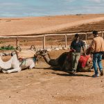 Visa Requirements Morocco: Morocco Visa Rules: Your Entry Guide for 2026