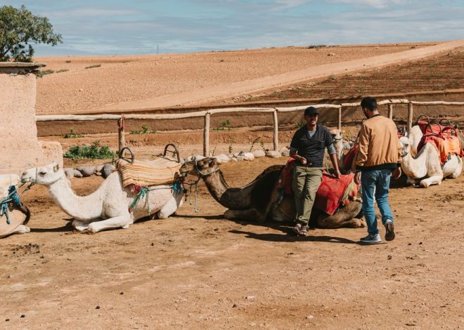 Visa Requirements Morocco: Morocco Visa Rules: Your Entry Guide for 2026