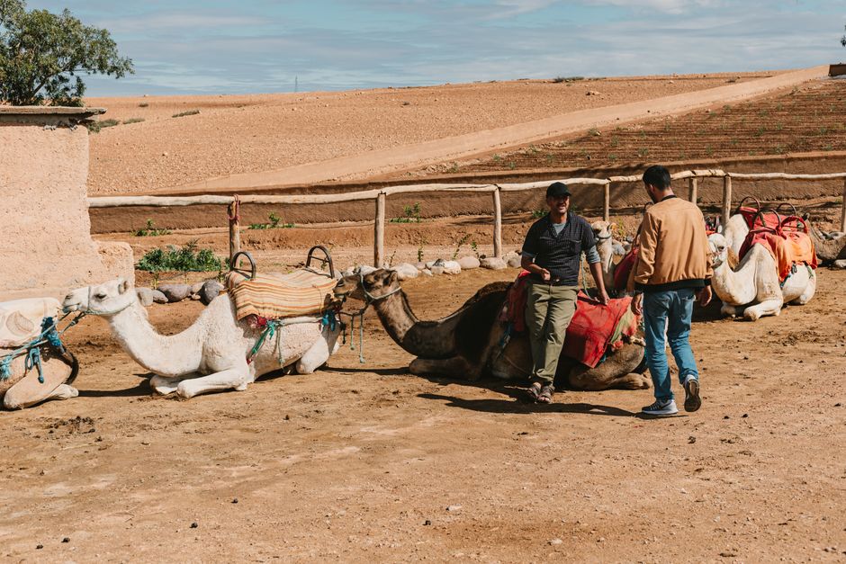 Visa Requirements Morocco: Morocco Visa Rules: Your Entry Guide for 2026
